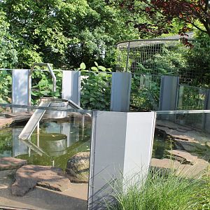 Outdoor-enclosure Otter