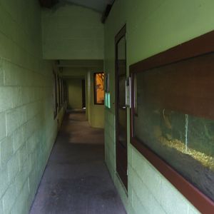 27/12/2016 View in the Reptile corridor