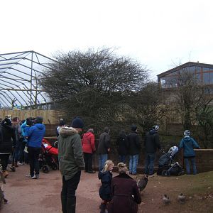 27/12/2016 view showing Gills house having been fenced off from the park