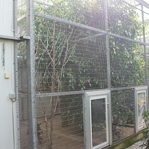 Aviary
