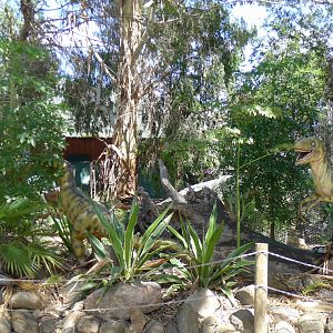 Halls Gap Zoo