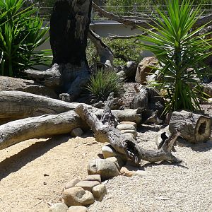 Halls Gap Zoo