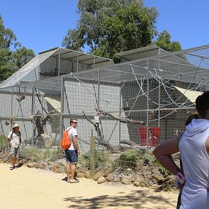 Halls Gap Zoo - primate enclosures