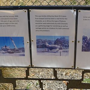 Halls Gap Zoo - sign explaining the log in cheeta enclosure