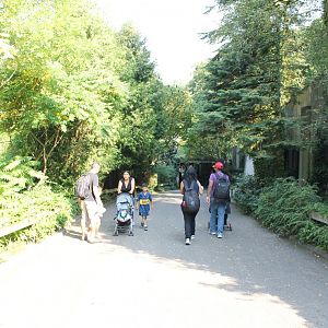 Pathway in the park