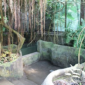 View in the Mangrove-hall