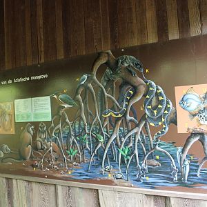 Animals of the Asian mangroves