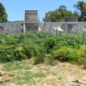 Halls Gap Zoo - view of primate enclosures