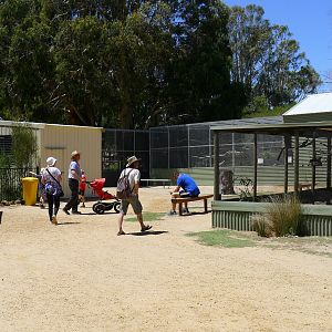Halls Gap Zoo - view of avairies