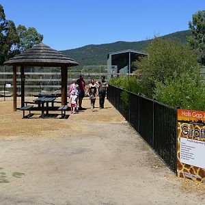 Halls Gap Zoo - giraff viewing are