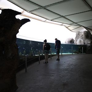 View in Burger's Ocean