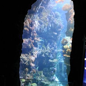 Aquarium