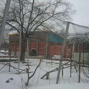 Elephant Enclosure Building