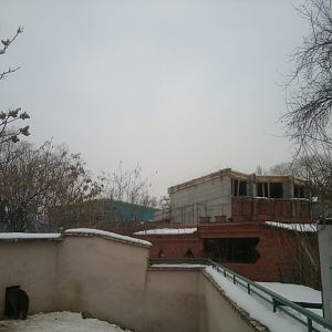 Chimpanzee Enclosure Building