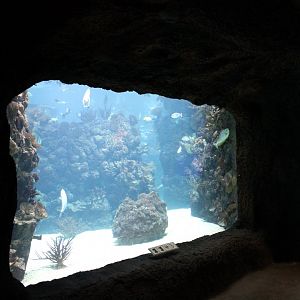 Aquarium