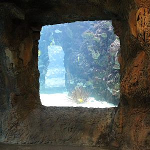 Aquarium