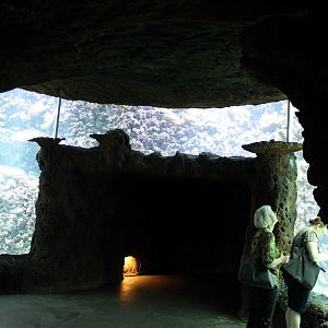 Aquarium