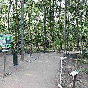 Lemur - Capybara Walk-through