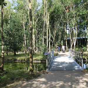 Bridge to the Lemur - Capybara Walk-through