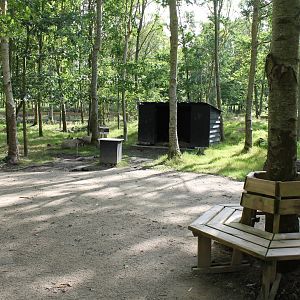 Capybara - Lemur Walk-through