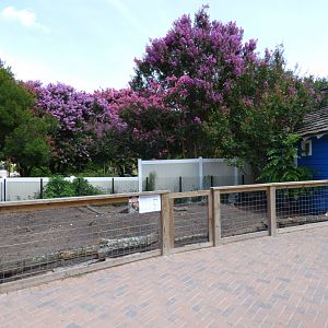 Kids Farm - P. Cavy Exhibit