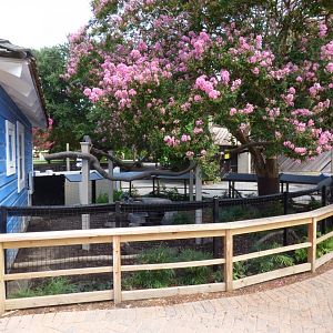 African Crested Porcupine Exhibit - Kids Farm