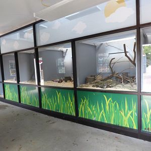 Kids Farm - Inside the Yellow Barn