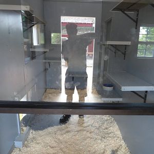 Kids Farm - Indoor Binturong Exhibit