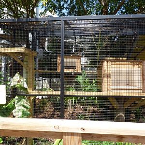 Kids Farm - Outdoor Binturong Exhibit
