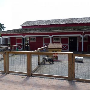 Kids Farm - Pig/Hog Exhibit