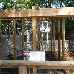 Kids Farm - Kenya crested guineafowl exhibit