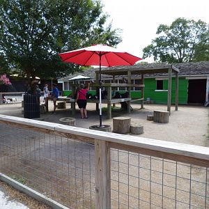 Kids Farm - Interactive Goat Area