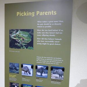 Animal Hospital Graphic