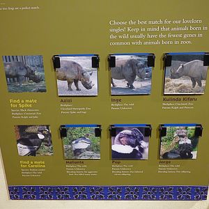 Animal Hospital Graphic