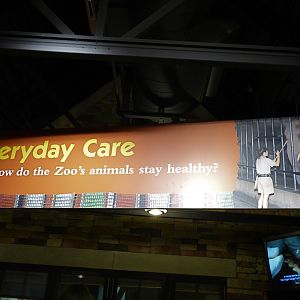 Animal Hospital Graphic