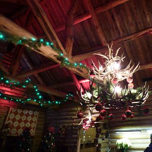 Northern Trek - Holiday Decorations in Wolf Lodge