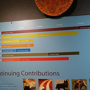 Animal Hospital Signage