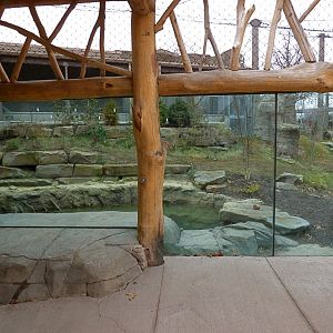 Amur Tiger Exhibit - January 2017