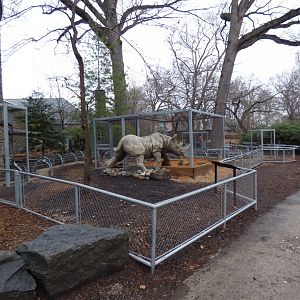 Meerkat Outside Exhibit - January 2017