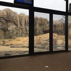 Walter Family Arctic Tundra - First Polar bear yard - View 1