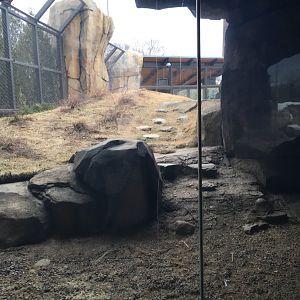 Walter Family Arctic Tundra - first Polar bear yard - View 2