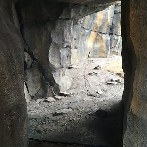 Walter Family Arctic Tundra - Ice Cave