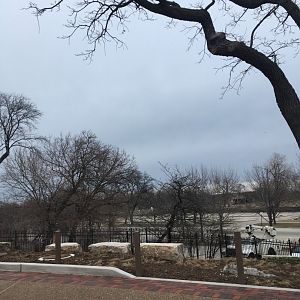 Walter Family Arctic Tundra - View out of the zoo