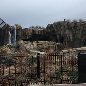 Walter Family Arctic Tundra - Second Polar bear yard - View 2