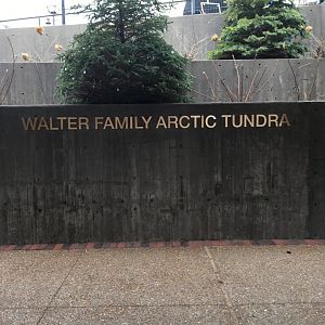 Walter Family Arctic Tundra - Sign
