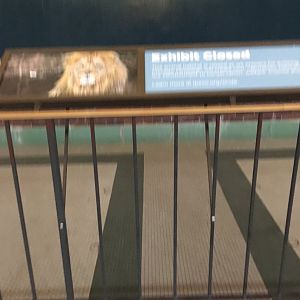 Lion House Expansion Info