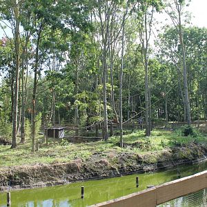 Capuchin monkey - Coati Enclosure