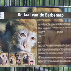 Info-sign Barbary monkey