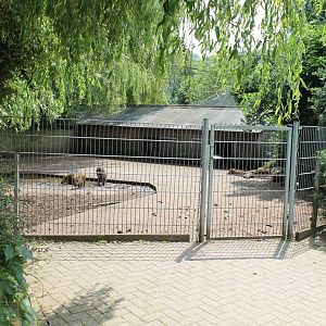 Enclosure Wild boar