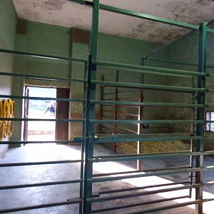 Indoor of Camel House